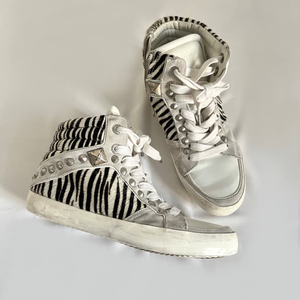 쟈딕앤볼테르 송치 스터드 하이탑