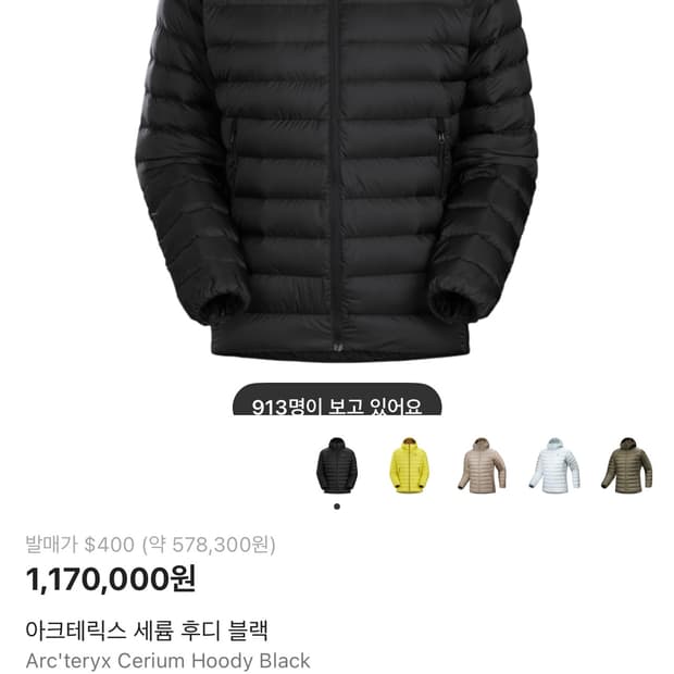 아크테릭스 세륨 후디 블랙 (M) 판매