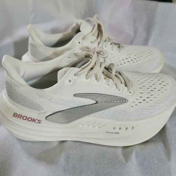 브룩스 글리세린 맥스 250