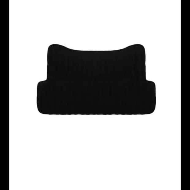 엑스오디너리 캣비니