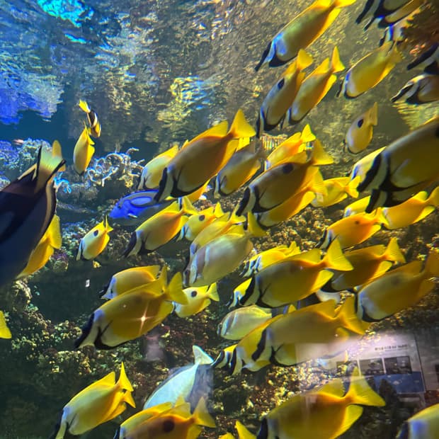 Ma****san님 개인 결제창