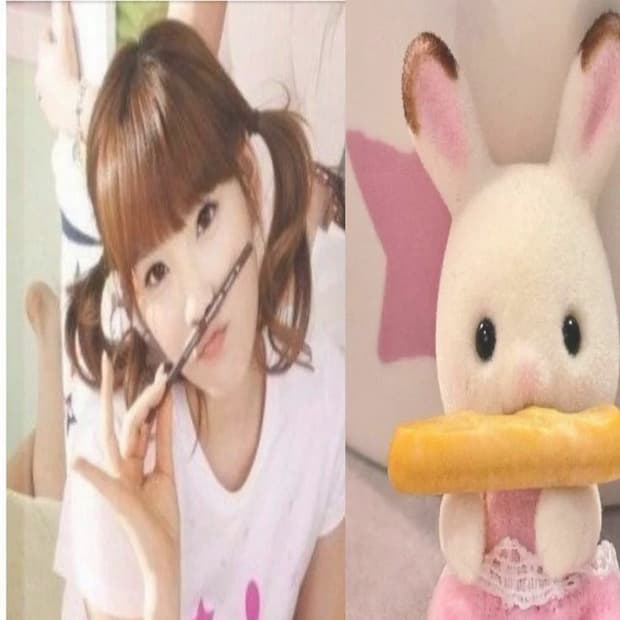개인결제창 순자넴