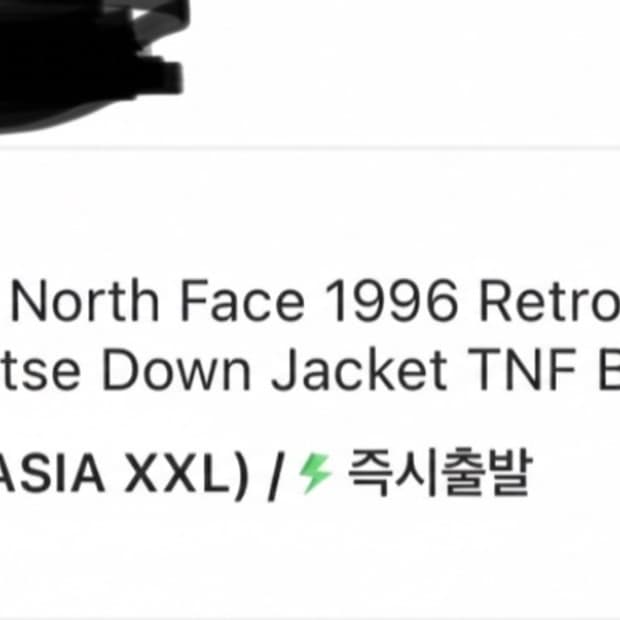 [XL] 노스페이스 1996 해외판 눕시