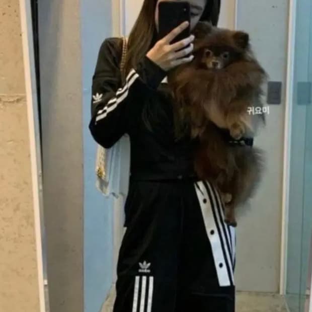 제니 아디다스 져지