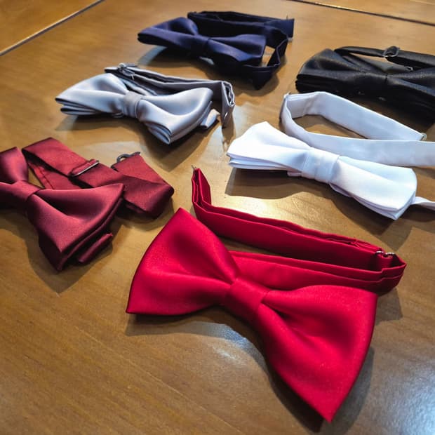 보타이 나비 넥타이