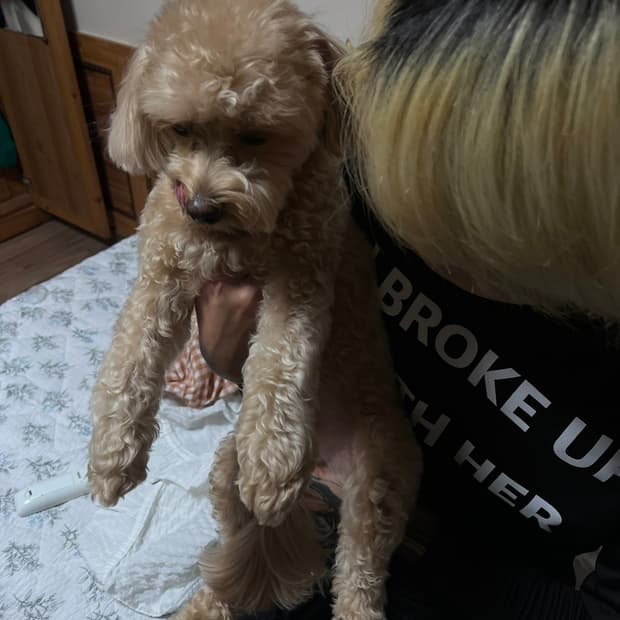 태호서울 나 그녀랑 헤어졌어 롱슬리브
