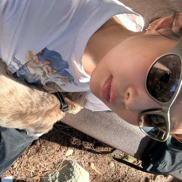 제니 몽벨 선글라스 실버