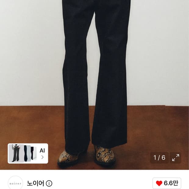 노이어 플레어진