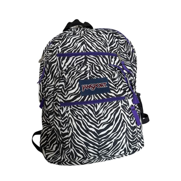 잔스포츠 지브라 패턴 백팩