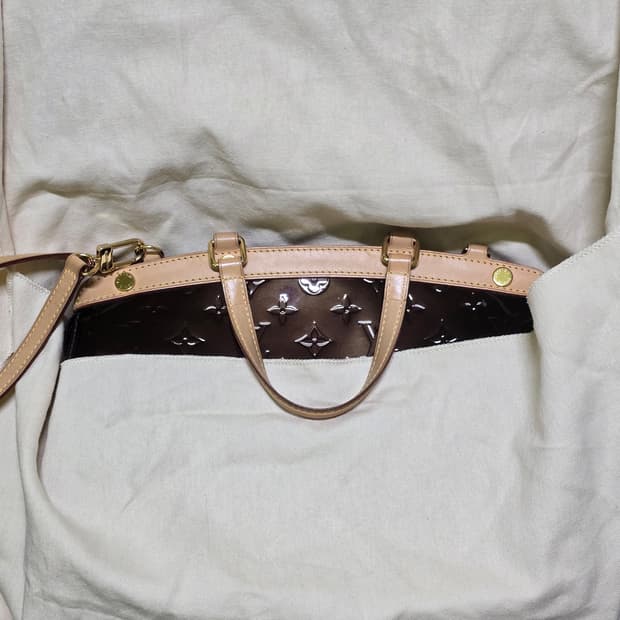 루이비통 베르니 브레아 MM 버건디