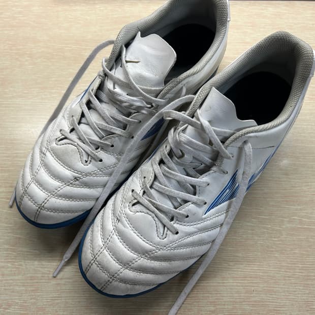 미즈노 모나르시다 풋살화 260