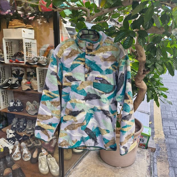 Z-221 파타고니아 신칠라 