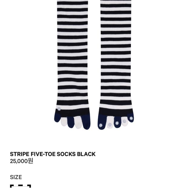 구함)코이세이오 스트라이프 토삭스 구해요