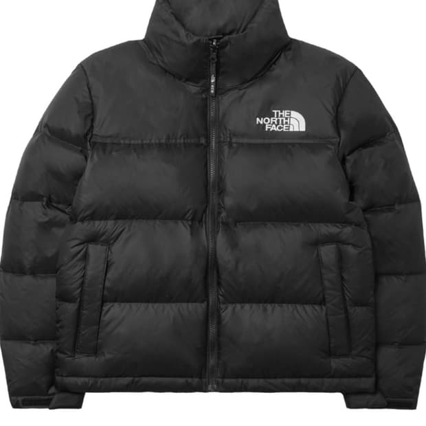 노스페이스 1996 에코 눕시 L