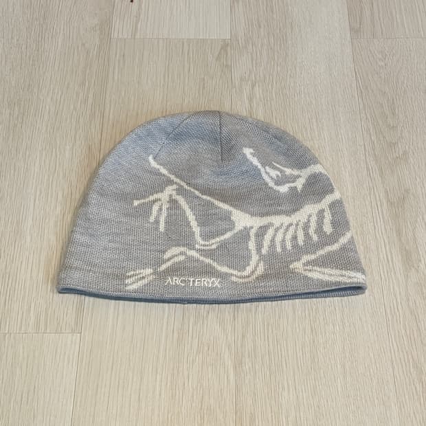 아크테릭스 25ss 버드 토크 비니