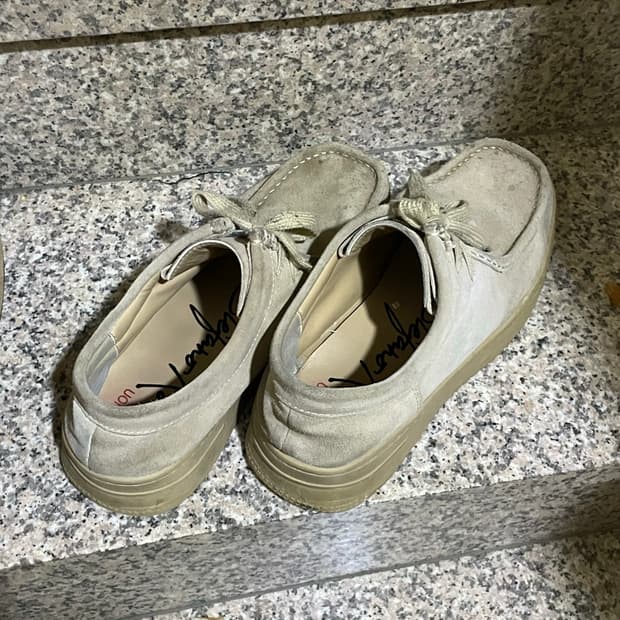 (280) 클락스 더비 메이플