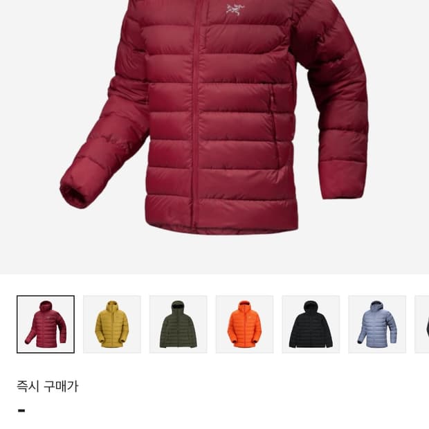 (XXL) 아크테릭스 토륨 보르도