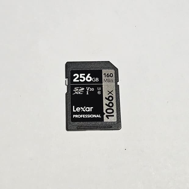 렉사 프로페셔널 256GB SDXC 1066x 메모리 카드