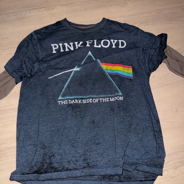 Pink Floyd 2015 L