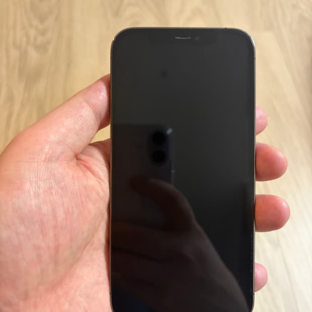 아이폰 12 프로 128gb 그래파이트