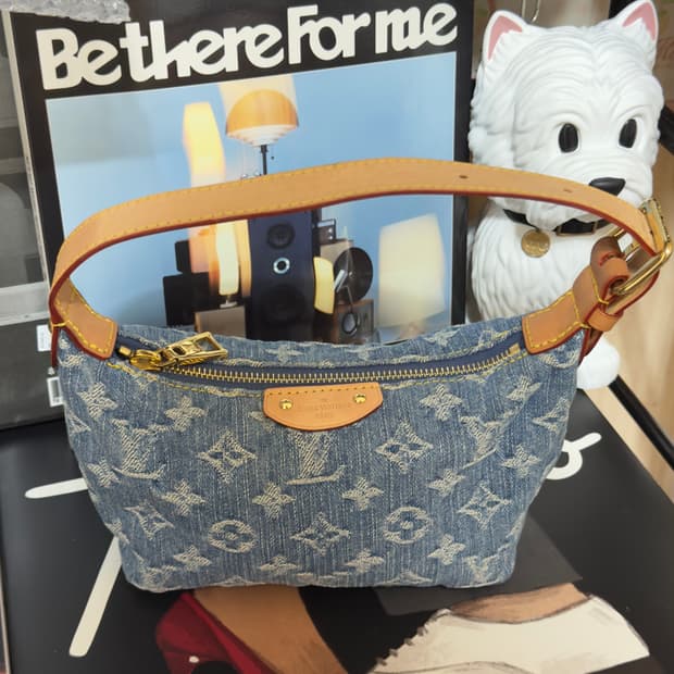 루이비통 힐스 포쉐트 모노그램 