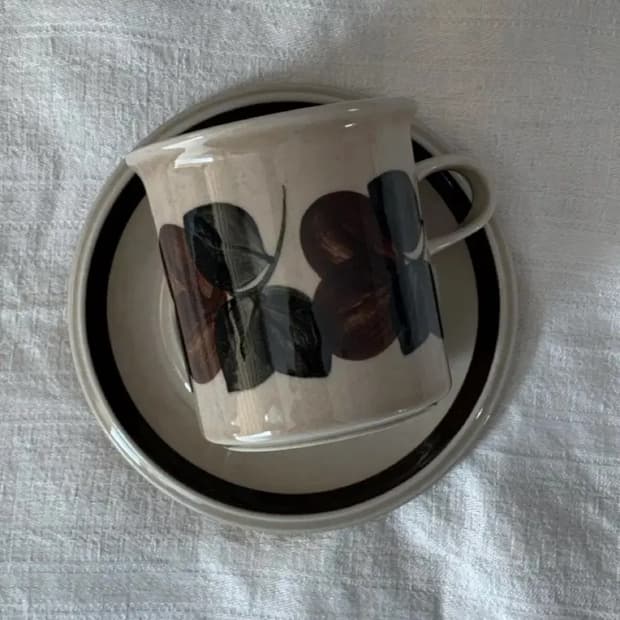 아라비아핀란드 루이자 코코아