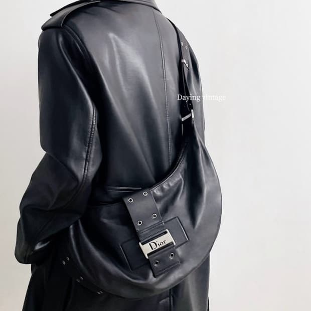 디올 스트릿시크 호보백