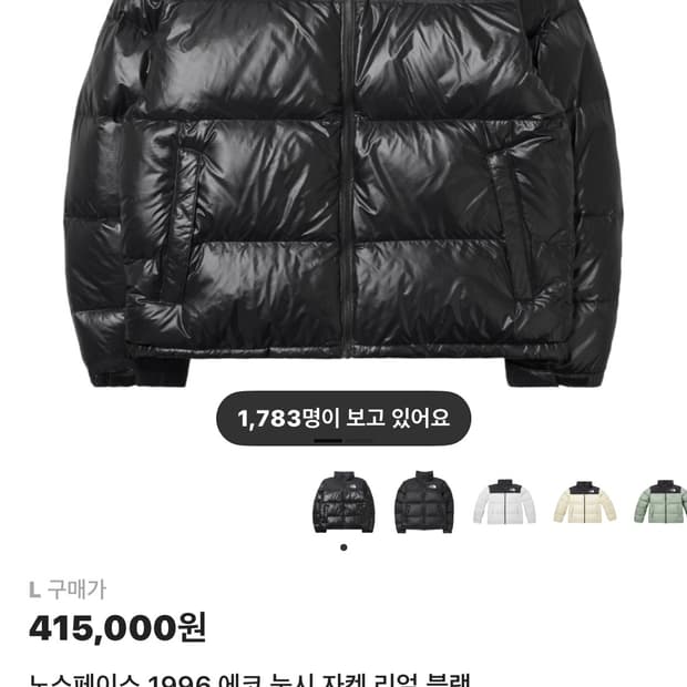 노스페이스 1996 눕시