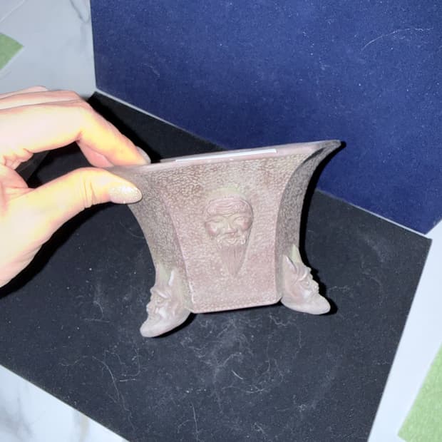 일본 미예(22) 화분 15cm x 9cm