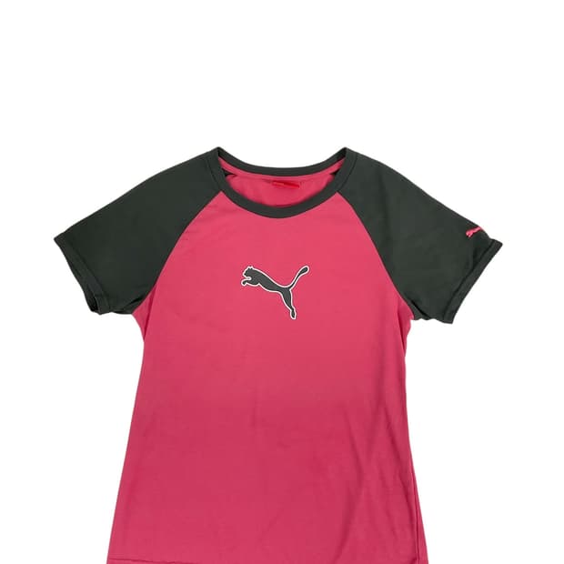 Puma (m)