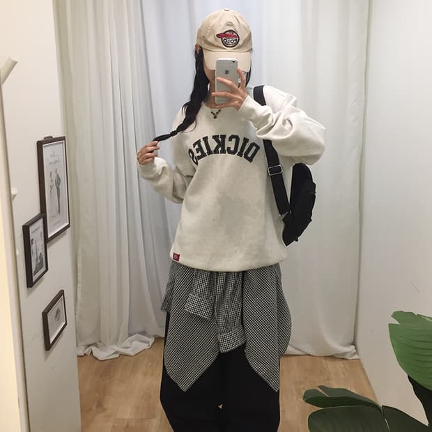 Unisex Dickies Sweatshirt 100