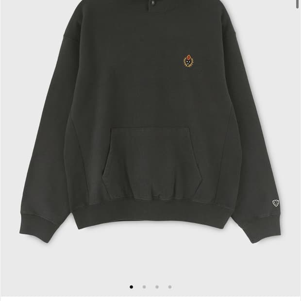 헤리티지플로스후드티 CREST WASHED 221 HOODIE / Bla