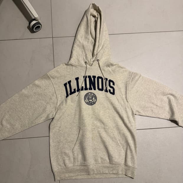 Champion Illinois hoodie
