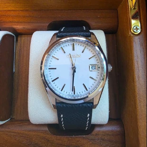 더 시티즌 A660-H25161 (The Citizen HAQ 퍼페추얼