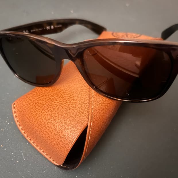 레이벤 뉴웨이페어러 