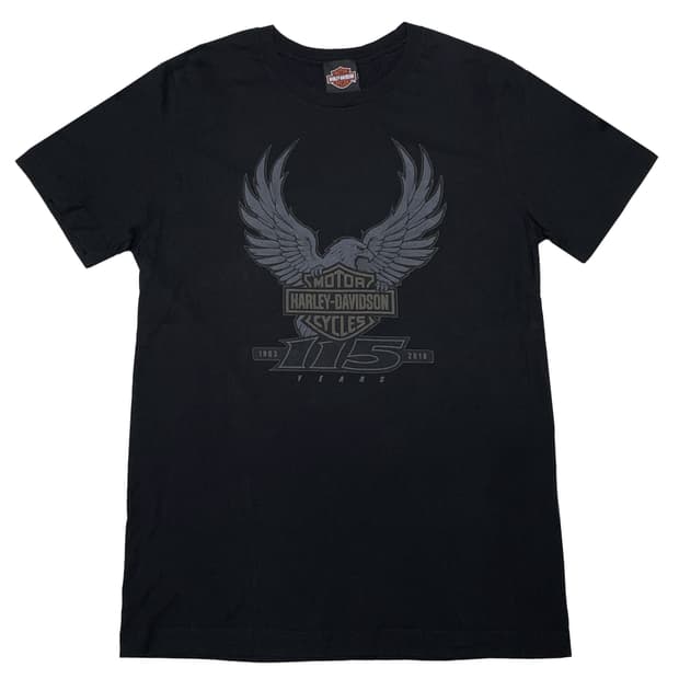 할리 데이비슨 (Harley Davidson)