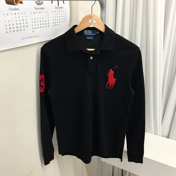 폴로 빅포니 카라 긴팔티