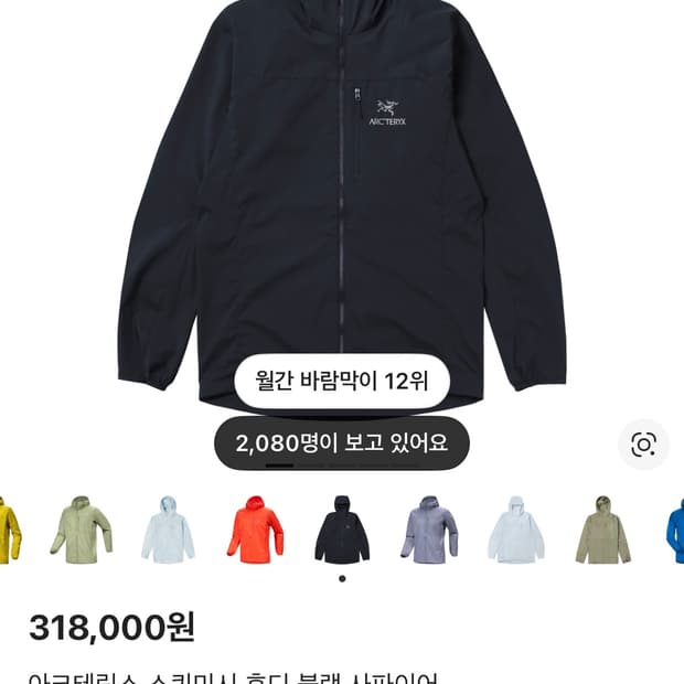 아크테릭스 스쿼미시 후디 블랙 사파이어