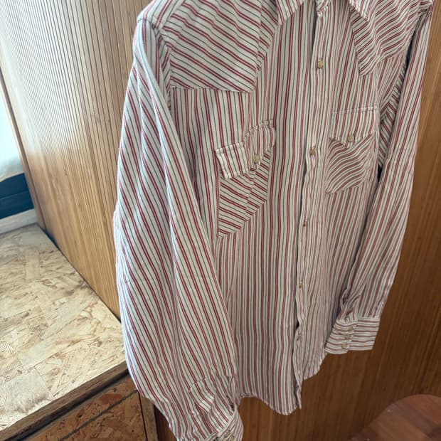Splendid Satisfaction Western Shirt