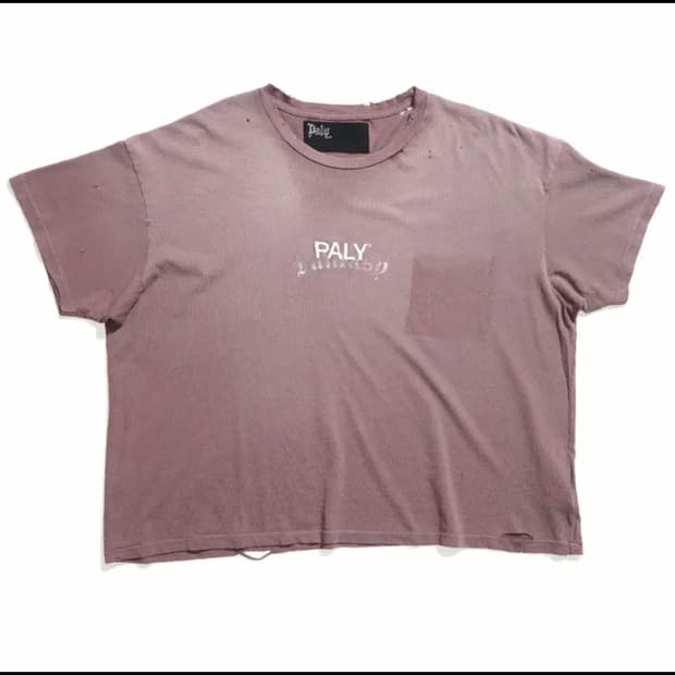 [L] 팔리할리우드 core logo tee vintage brown
