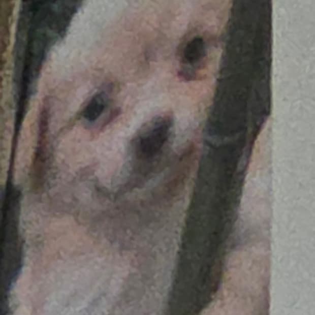 CJ...님 전용결제창 