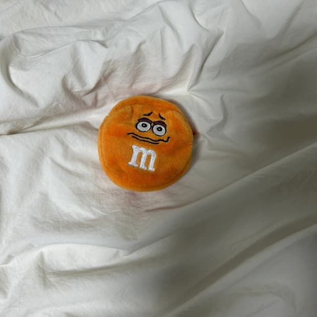 m&m 동전지갑 파우치