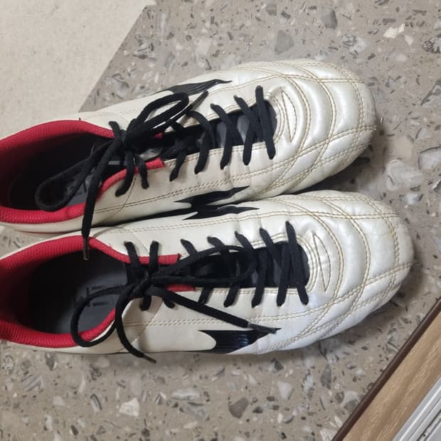 미즈노 모나르시다 축구화 250