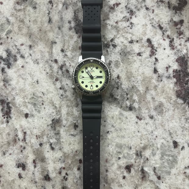 시티즌 프로마스터 복어 다이버워치