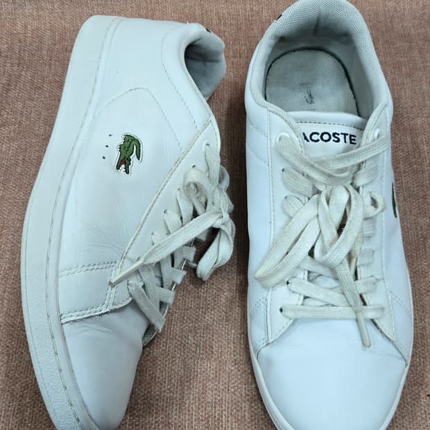라코스테 260mm-  카나비 에보 318 시그널 슈즈  