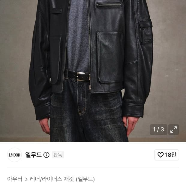 엘무드 데이비슨 카우하이드 레더 자켓 48