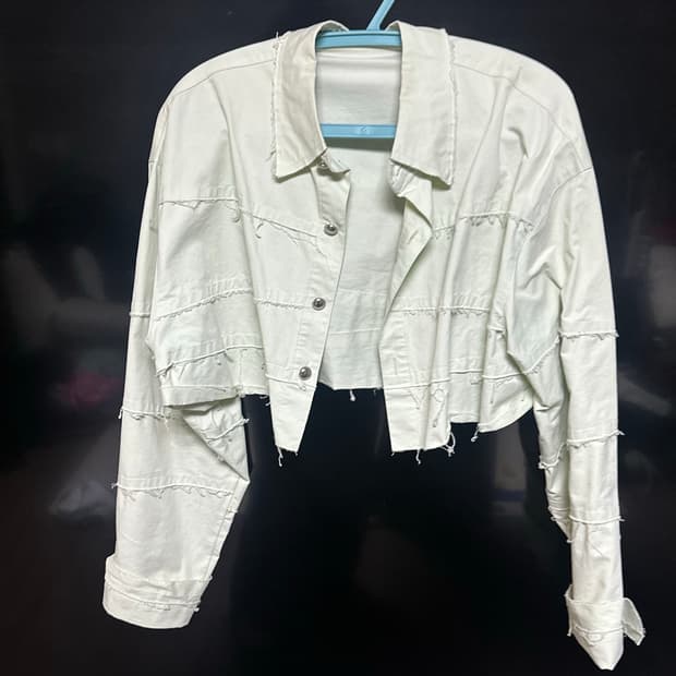 더일마 크롭셔츠