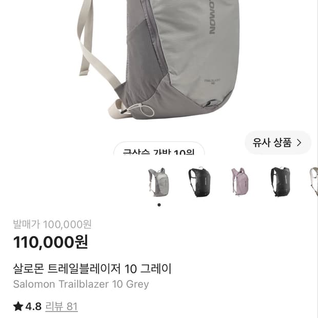 살로몬 트레일블레이저 10 그레이백팩