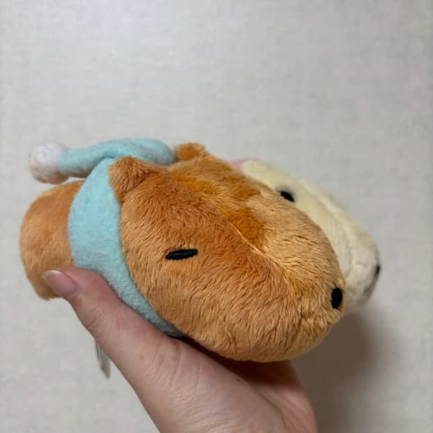 고전 산엑스 목도리 카피바라상 세트