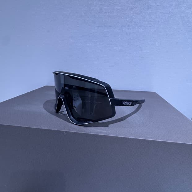 100% glendale 고글